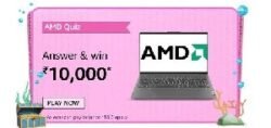 Amazon AMD Laptops Quiz Answers